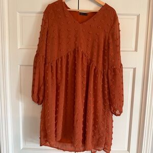 Amazon Rust Orange Long Sleeve Textured Babydoll Dress